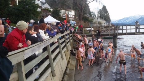 Onlookers at Armours Beach watch the polar bear swim. About 80 people gathered for the  event in Gibsons.